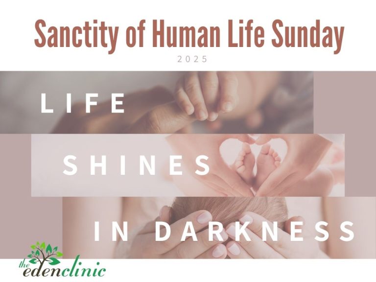 Sanctity of Human Life Sunday